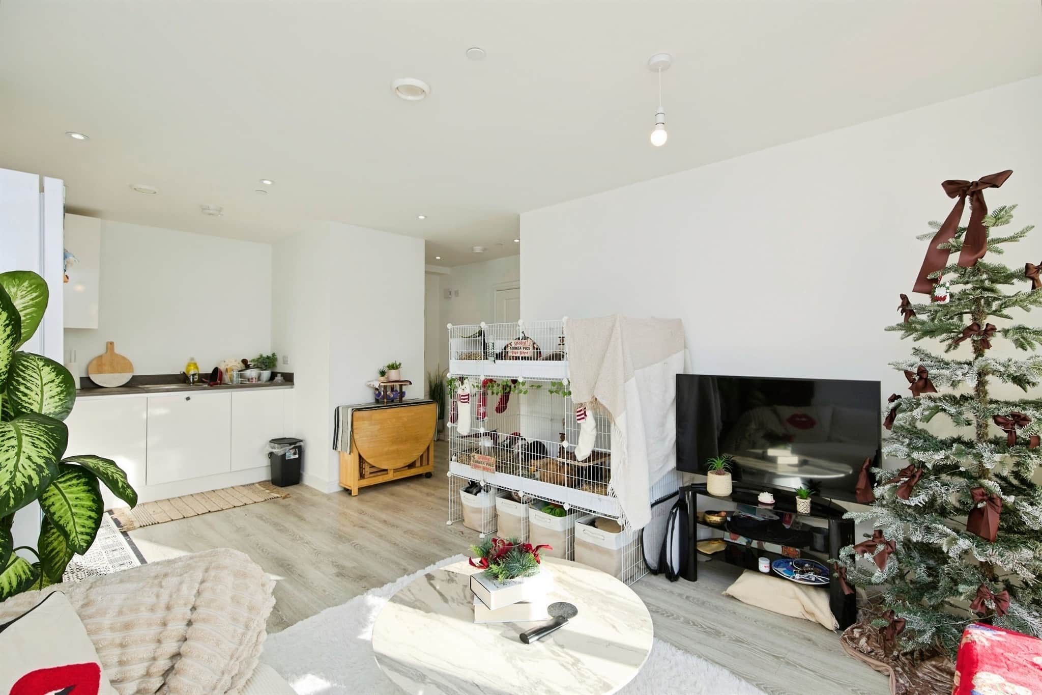 Property at Sylvester Close, Derby