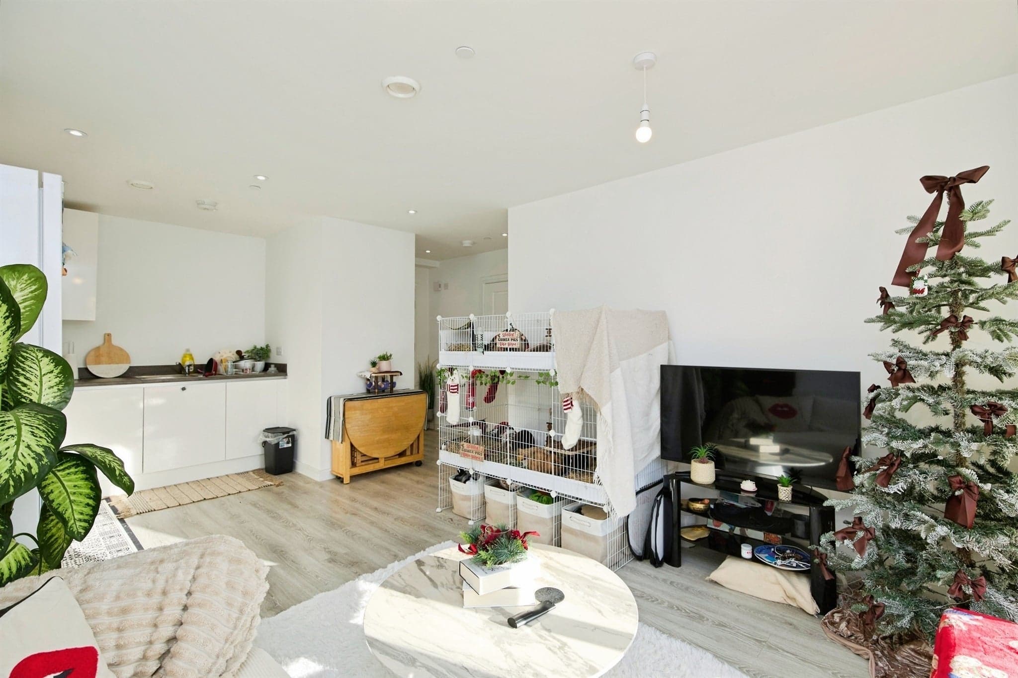 Property at Sylvester Close, Derby