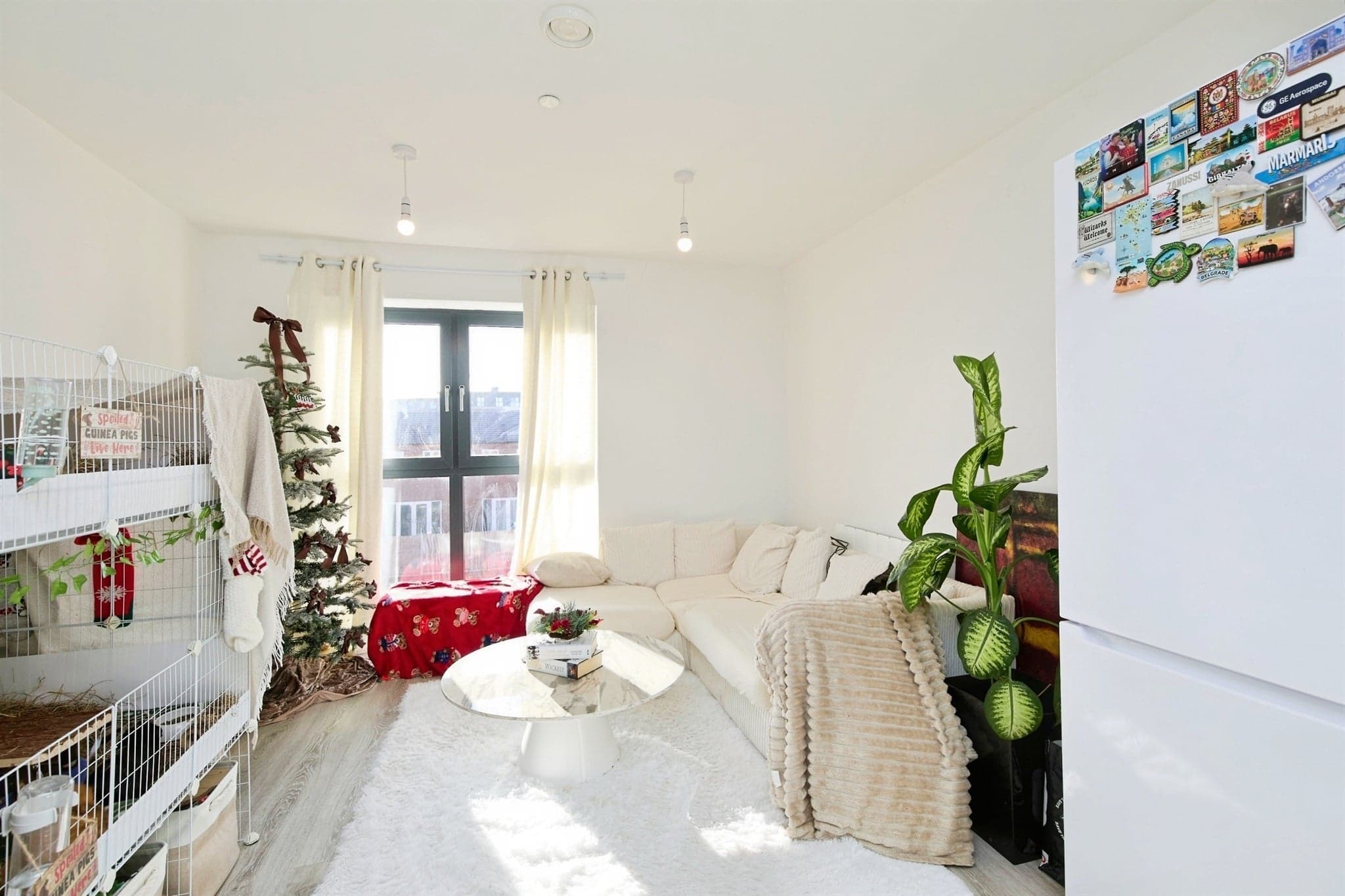 Property at Sylvester Close, Derby